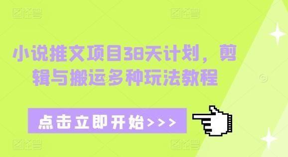 小说推文项目38天计划，剪辑与搬运多种玩法教程