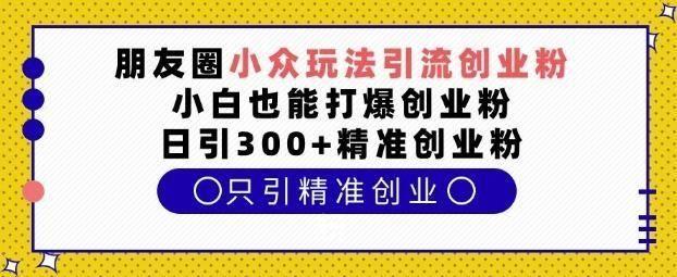 朋友圈小众玩法引流创业粉，小白也能打爆创业粉，日引300+精准创业粉【揭秘】