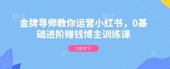 金牌**教你运营小红书，0基础进阶赚钱博主训练课