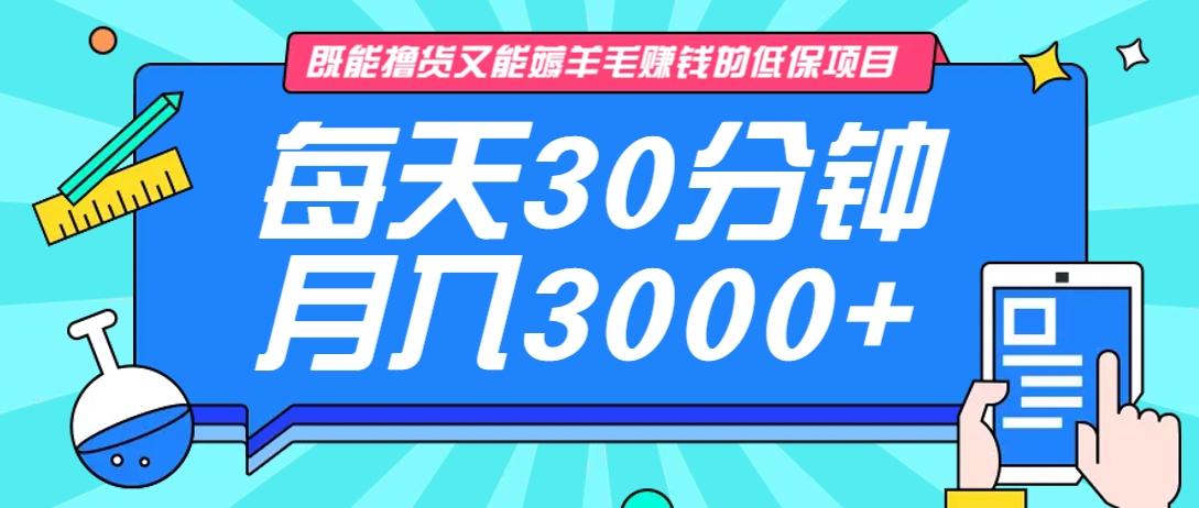 既能撸货又能赚钱的长期低保项目，每天30分钟，多号百分百稳定月入3000+！