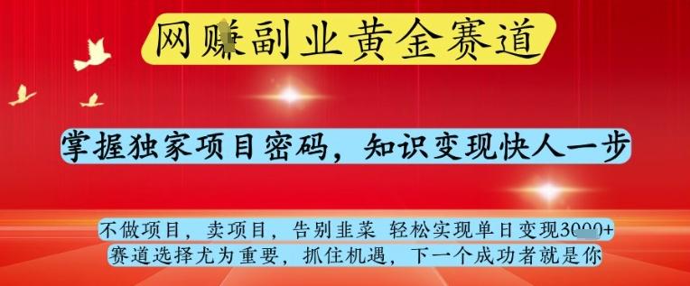 网创副业黄全赛道，掌握独家项目密码，知识变现快人一步，告别韭菜轻松实现单日变现1k+【揭秘】