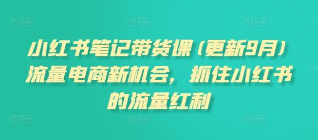 小红书笔记带货课(更新25年4月)流量电商新机会，抓住小红书的流量红利