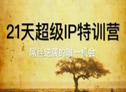 21天超级IP特训营，*丝逆袭的唯一机会